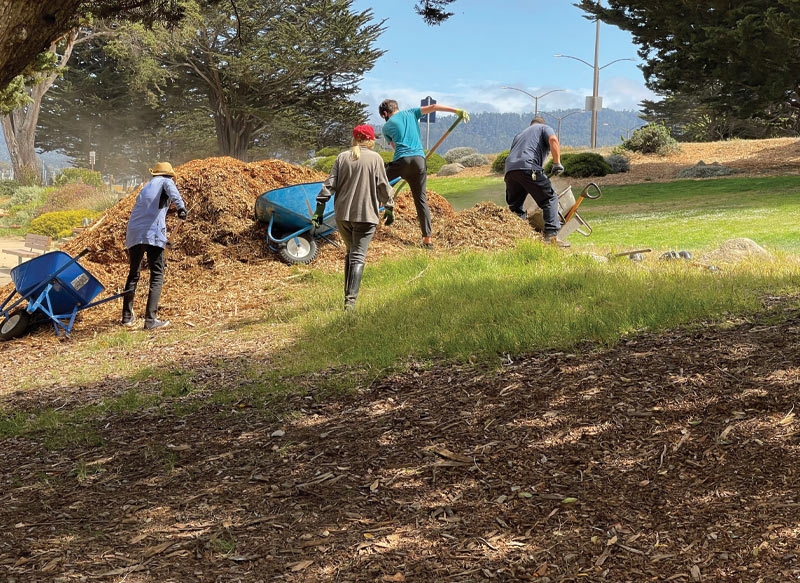 Adopt-A-Park Service Project